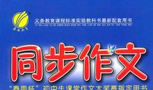 看烟花作文600字