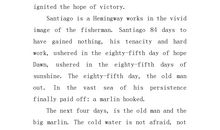 老人与海鸥读后感50字