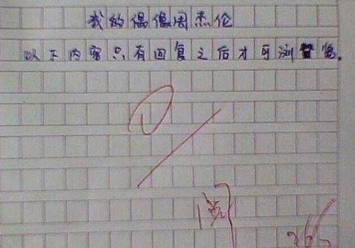 他终于笑了作文