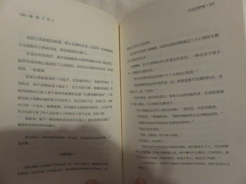 读《影子窃贼》后的感想