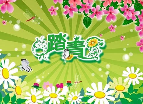 春季郊游组成