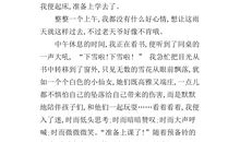 关于雪的作文100字