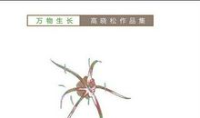 《万物生长》读后感