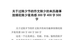 除夕之夜作文300字