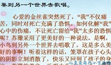 用心灵去倾听读后感