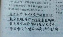 令人难忘的细节作文600字