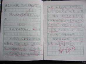 家乡风光500字