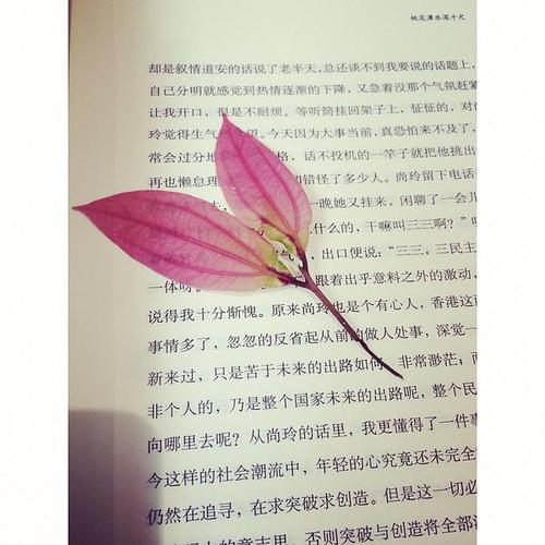 书签500个单词