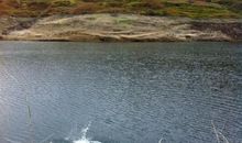 十年后家乡的变化