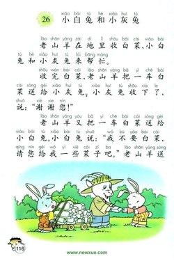 医疗成分400字