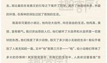 小鹿斑比读后感500字