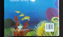 小鸟公主读后感