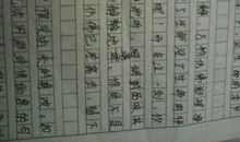 有环境描写的作文