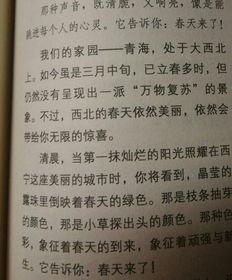 下雪作文250字