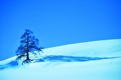 关于雪中爱情的构图