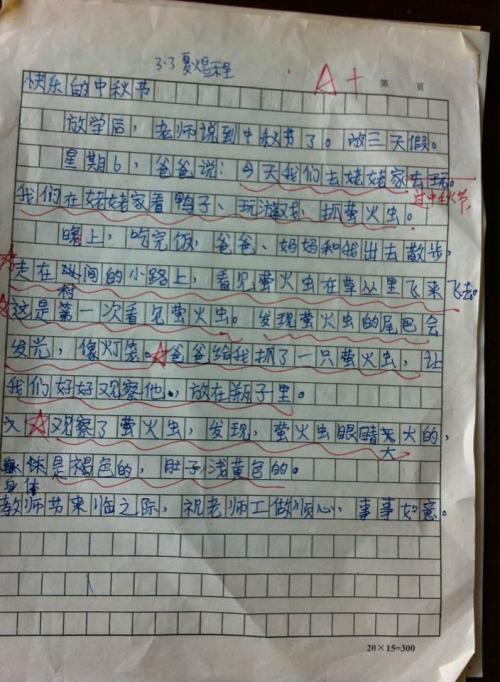 中秋节作文100字