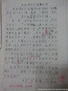 不同的你组成