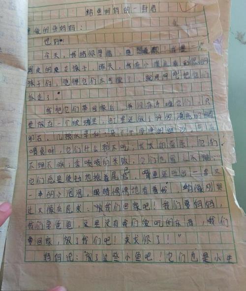 考试不及格的作文