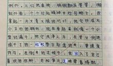 写新年的作文