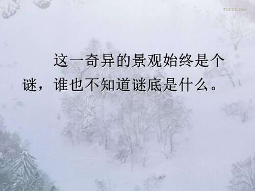 山谷里的朋友们读了200字