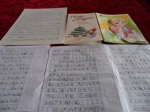 我想成为一只鸟的构图
