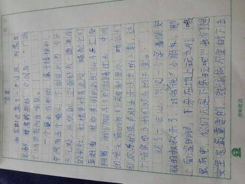四年级狗的组成
