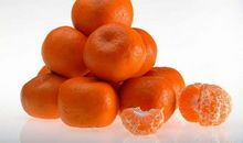 介绍橘子的作文