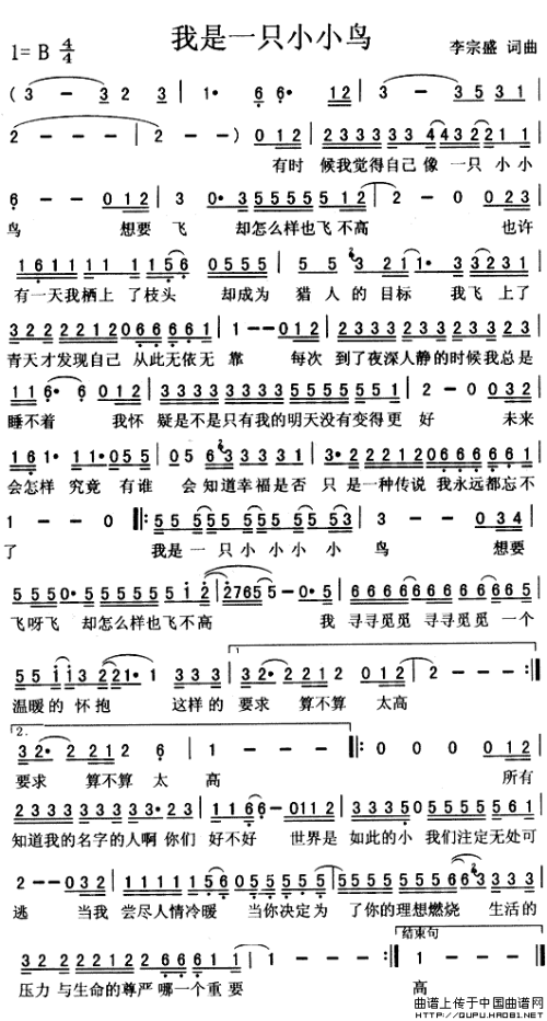 我想成为500字的鸟