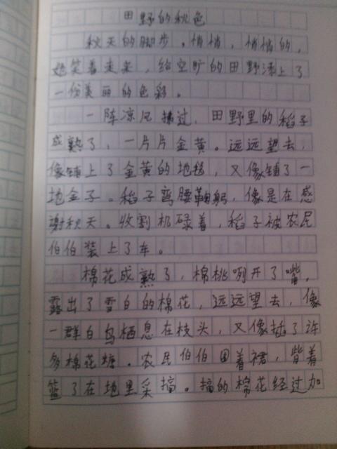 新年作文准备