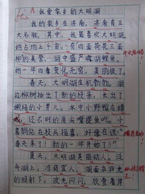 小学毕业论文
