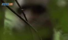 于建嵘经典语录