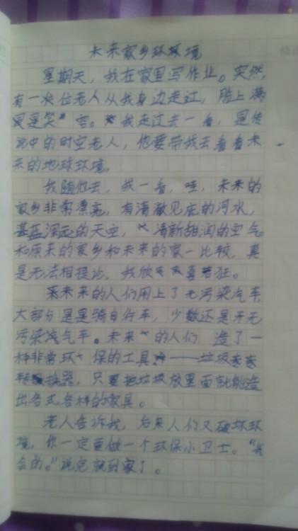 二十年后的家乡环境
