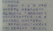 二十年后的家乡环境