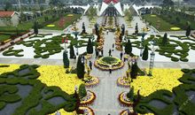 花卉大观园观后感