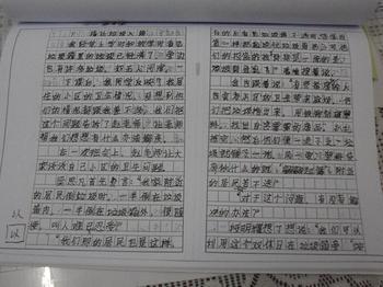 生态环保组合物