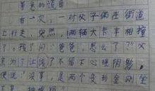 不一样的爸爸作文