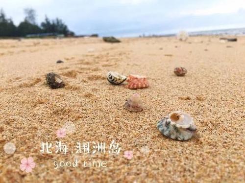 捡贝壳组成