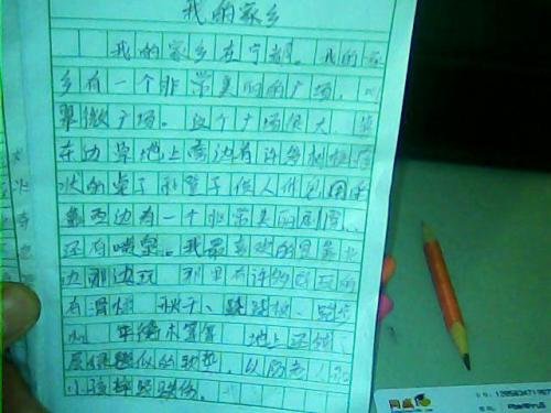 家乡龙眼作文500字