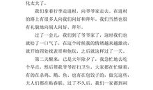 新年作文600字