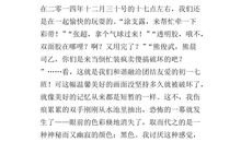 新年作文800字