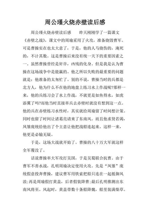 关于《赤壁之战》的思考