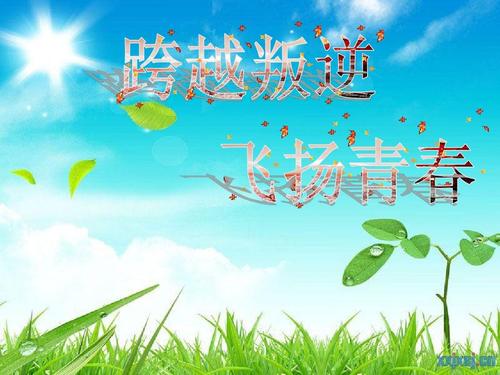 青年飞行组成