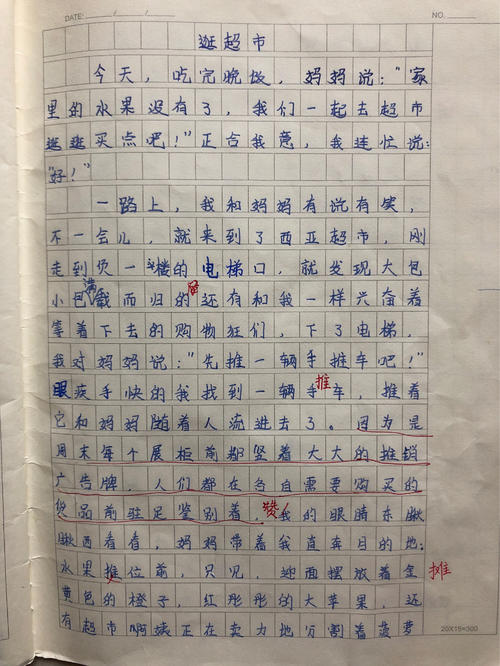 二年级作文