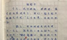 逛超市二年级作文