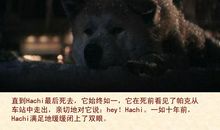忠犬八公电影观后感