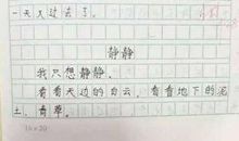 三年级做家务的作文