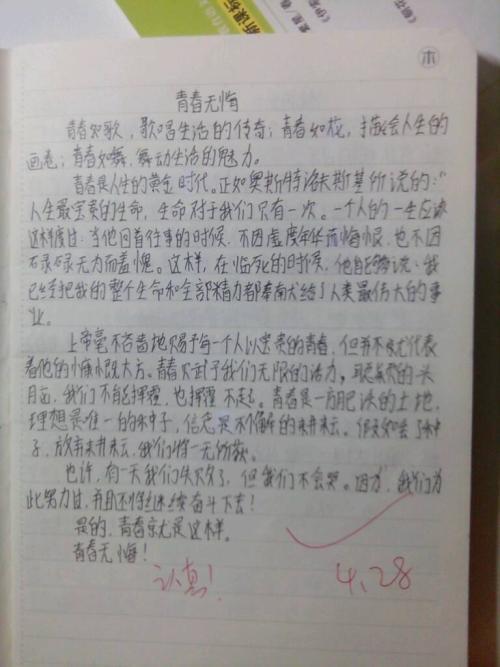 青年需要500字的作文