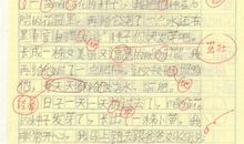 上辅导班作文600字