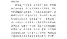 小学作文未来的书包