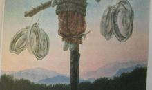 《爱德华的奇妙之旅》读后感